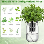 Teenyyou 12 Set Hydroponic Garden Mason Jar Kit Self Watering Herb Hydroponic Planter Starter Kit with Net Pot Garden Flower Plant Growing Gift for Indoor Herbs Windowsill Gardening - Image 4