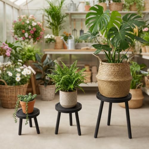 Amdermi 3-Pack4-pack Wood Plant Stands Indoor, Single Plant Stand for 6-12 Inch Pots, Mid-Century Modern Plant Stool, Tall Plant Stand for Large Plants for Living Room, Balcony, Office (3, black) - Image 3
