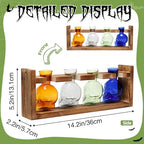 Plant Propagation Stations Halloween Skull Plant Terrarium Kit - Image 4