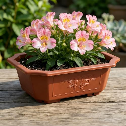 HOIGON 30 PCS 9 x 6.5 Inch Plastic Rectangular Bonsai Training Pots, Red Plastic Planter Pot with Drainage Hole, Shallow Plant Nursery Pot for Succulent - Image 6
