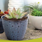 Headwind Ironstone Mandalay - 8" Denim Decorative Planter High-Gloss with Embossed Dotted Pattern & Durable Coated Finish – Lightweight Plant Pot Indoor & Outdoor Flower Pots Use by Robert Allen - Image 3