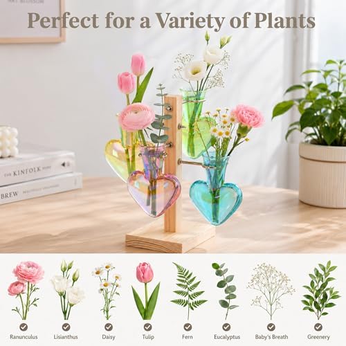 Nacome Plant Terrarium Propagation Stations: Colored Vase with Wooden Stand - Image 6