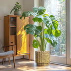 Ceramicfor Ceramic Plant Pots - 12 Inch Planter with Drainage Hole, Large Ceramic Flower Pots for Indoor Plants, Round Planter Outdoor, Living Room Decor, Gifts for Plant Lovers, Yellow - Image 4