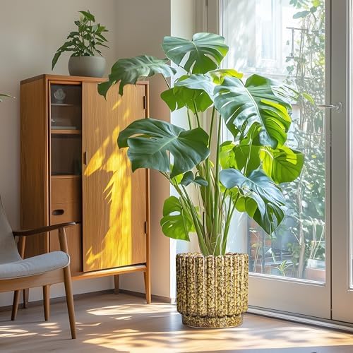 Ceramicfor Ceramic Plant Pots - 12 Inch Planter with Drainage Hole, Large Ceramic Flower Pots for Indoor Plants, Round Planter Outdoor, Living Room Decor, Gifts for Plant Lovers, Yellow - Image 4