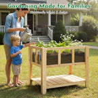 ketive Raised Garden Bed with Transparent Acrylic Side Panels, Elevated Wooden Planter Box with Shelf for Vegetables, Herbs & Flowers,Outdoor Raised Garden Planter for Patio, Balcony & Backyard - Image 4