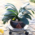 6 Packs Large Metal Plant Caddy with Wheels 13" and 11.8" Heavy-duty Wrought Iron Rolling Plant Stands with Casters Plant Dolly Plant Roller Base Indoor and Outdoor Plant Pot Movers Planter Rollers - Image 4