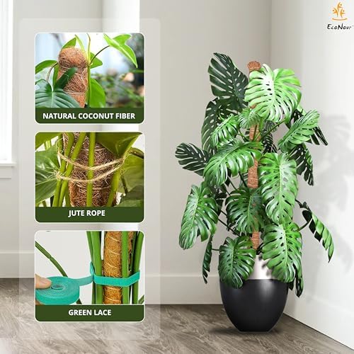EcoNour Tall Moss Pole for Plants (2-Pack) 63-Inch | Large Monstera Plant Support for Climbing and Growth | Elevate Your Indoor Garden | Tall Plant Support for Indoor Potted Plants to Grow Upwards - Image 5
