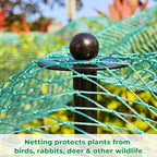 72 Inch Garden Stake Netting Support, Black Heavy Duty Powder Coated Steel Frame for Garden Fencing, Plant & Crop Protection from Wildlife (12 Sets) - Image 2