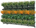 JOMCYDM Vertical Planter with 30 Pockets Wall Mounted Planter Living Wall Planter Indoor Outdoor Wall Plant Holder Microgreens Growing Kit Herb Pots by Unknown