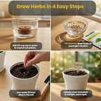 47 PCS Herb Garden Seeds Starter Kit, 10 Non-GMO Culinary Herb Seeds with White Pots & Planters for Windowsill, Herb Growing Kit Indoor & Outdoor, Unique Herb Garden Gift Set for Gardening Lovers - Image 3