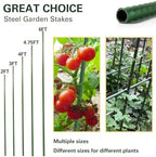 Plant Stakes 57 inch, Approx 5ft Steel Garden Stakes 25 Pack, Sturdy Plant Support for Climbing Plants, Tomatoes, Beans, Cucumbers, Peppers, Flowers, Strengthen and Stem Grow Better - Image 2
