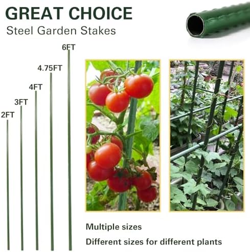 Plant Stakes 57 inch, Approx 5ft Steel Garden Stakes 25 Pack, Sturdy Plant Support for Climbing Plants, Tomatoes, Beans, Cucumbers, Peppers, Flowers, Strengthen and Stem Grow Better - Image 2
