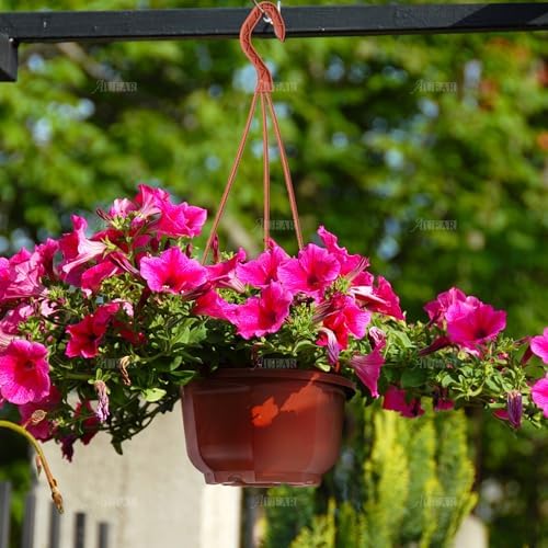 AUEAR, 50 Pack Plastic Hanging Plant Pots Containers Outdoor Indoor Planters with Drainage Holes Hooks Brown - Image 6