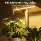 LATIBELL Plant Stand with Grow Light Indoor Plant Shelf, 2 Pack 6 Tier - Image 2
