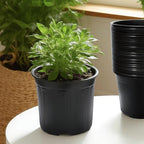 40 Pack 3 Gallon Nursery Pots, 10 Inch Plant Pots with Drainage Holes - Image 6