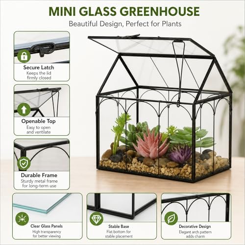 Ferrisland Glass Geometric Plant Terrarium, Clear Glass Succulent - Image 4