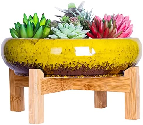 Bonsai Pots, 10 Inch Large Succulent Pots with Drainage, Shallow Planters by ARTKETTY