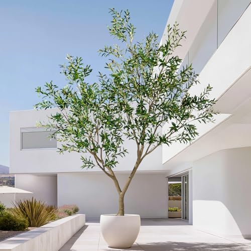 10FT Artificial Olive Tree with Realistic Leaves & Natural Trunk, Faux Silk Olive Plant in White Planter, Tall Fake Tree for Modern Home Office Living Room Entryway Corner Decor, Maintenance Free - Image 2