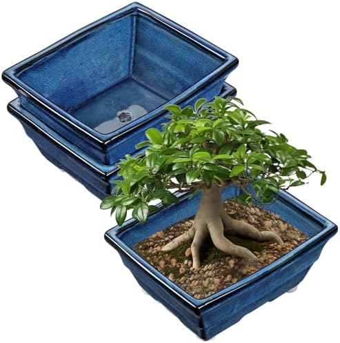 Villa Como Set of 2 Large Bonsai Pots with with Drainage Hole, 10" by VillaComo