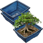 Villa Como Set of 2 Large Bonsai Pots with with Drainage Hole, 10" by VillaComo