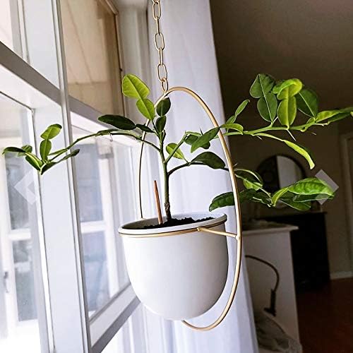 2 Pack Hanging Planter with 5.5" Pot, Metal Hanging Plant Holder - Image 3