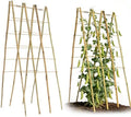 2 Pack 47''x18'' Bamboo Trellis for Climbing Plants Outdoor, Oltara A-Frame Foldable Garden Trellis for Cucumbers, Raised Beds, Tomatoes, Beans, Vegetables & Flowers Support by Unknown