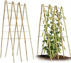 2 Pack 47''x18'' Bamboo Trellis for Climbing Plants Outdoor, Oltara A-Frame Foldable Garden Trellis for Cucumbers, Raised Beds, Tomatoes, Beans, Vegetables & Flowers Support by Unknown
