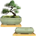 MUZHI 2pcs Green Ceramic Bonsai Planter Pots with Bamboo Tray 6.2 “ & 5.3”, Rectangular Glazed Bonsai & Succulent Cactus Starter Pot with Drainage Ice Crack Design (2 Crackle Glazed 6") by MUZHI