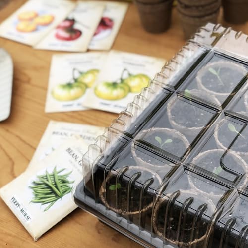 Jiffy Plant Germination Dome - Clear Humidity Cover, Lightweight - 21 x 11 in - 2 in Tall - Plastic - Image 4