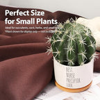 Best Nurse Preceptor Ever Nurse Gifts Ceramic Succulent Plant Pot with Bamboo Tray Round Nursing Student Assistant Nurse Home Office Decor Plant Lover 3.5 Inch White (No Plants) (Pack of 3) - Image 7
