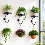 3-Pack Wall Plant Holder for Indoor Outdoor Plants, Metal Wall Planter by DAZZLIFE