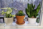 Hanging Acrylic Shelves for Windows (22" Wide, 4 Shelves - 55" Tall) - Image 4