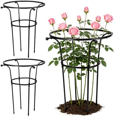 2 Pack Large Peony Cages and Supports, 26" H x 20" D Grow Through Plant Support Rings, Sturdy Garden Trellis, Plastic Rings with Stainless Steel Core Stakes for Peonies, Roses & Top-Heavy Blooms by YEXEXINM