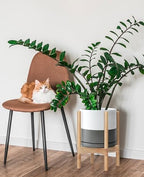 D'vine Dev Ceramic Pot with Natural Wood Stand, White/Grey, 10 in, 55-B-K-6 - Image 4