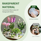 Cdd's Path Self Watering Pots Set with Deep Water Tank, Large Drainage Holes, Reservoir & Air Pipes, 5/6/7/8 Inch Naked Root Planter for Indoor Outdoor Plants, Flowers, Seedlings, Clear, 4 Pack - Image 6