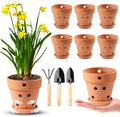 4 Inch Terracotta Orchid Pots with Holes and Saucers Set of 6 by FELISTORY