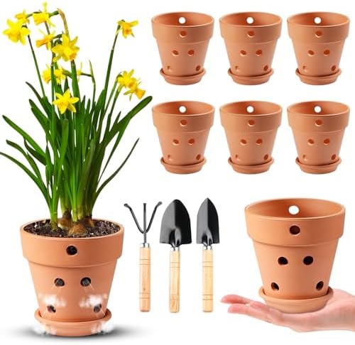 4 Inch Terracotta Orchid Pots with Holes and Saucers Set of 6 by FELISTORY