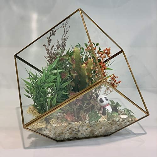 WGV Geometric Planter Terrarium, Width 11.5" Height 12" Clear Glass Gold Frame DIY Succulent air Plant Miniature Fairy Garden Windowsill Tabletop Decor, Tilted Cube 1 Piece - Image 4