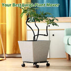 3 Pack 12 In Rolling Plant Stand with Wheels Metal Plant Caddy with Wheels - Image 5