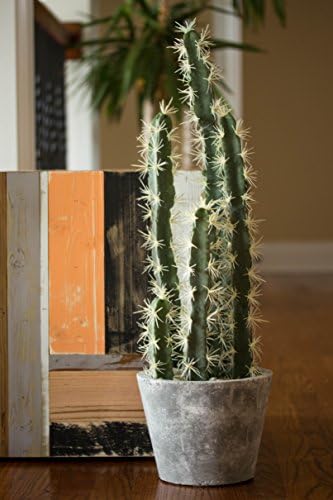 Nearly Natural Decorative Cactus Garden with Cement Planter - Image 2