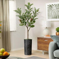 Artificial Tree in Geometric Spiral Pattern Planter, Fake Rubber Silk Tree for Indoor and Outdoor Home Decoration - 70" Overall Tall (Plant Pot Plus Tree) by SIGNWIN