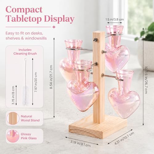 Nacome Plant Terrarium Propagation Stations: Pink Vase with Wooden Stand - Image 4