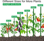 Garden Stakes 7ft, Metal Plant Stakes 7 Feet for Gardening and Farm, 84" Plastic Coated Plant Support for Tomato, Cucumber, Bean, Flower, Potted and More Climbing Plants - Image 6