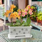 Rectangle Ceramic Orchid Pot with Holes and Saucer 12Inch Ceramic Large Pot Basin for Refilling Indoor and Outdoor Use Air Circulation Orchid Planter for Repotting Planter White - Image 5