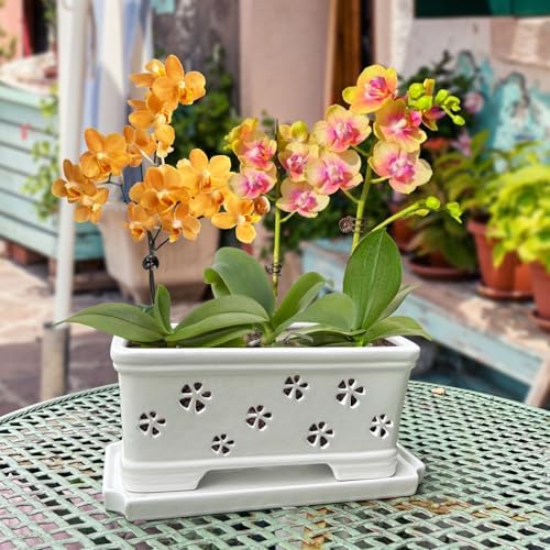 Rectangle Ceramic Orchid Pot with Holes and Saucer 12Inch Ceramic Large Pot Basin for Refilling Indoor and Outdoor Use Air Circulation Orchid Planter for Repotting Planter White - Image 5