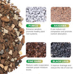 Bonsai Soil Mix 10qt, Potting Soil Mix Ready to Use for Bonsai Tree and Indoor Plants, Composed of Akadama, Lava Rock, Prumice, Bark - Image 2