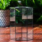 NCYP Wall Corner Geometric Glass Terrarium for Moss, Small Plants - Image 4