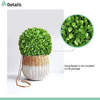 SunnyRoyal Topiary Ball Artificial Outdoor Boxwood Balls Topiary Lifelike Plants, Round Topiary for Indoor/Outdoor Decore, Rose Leaf 15 Inch, 5 Pieces - Image 3