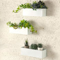 LaLaGreen Wall Planter (16 in, 3 Pack) White Metal Rectangular Succulent by L%C3%A1L%C3%A1Green