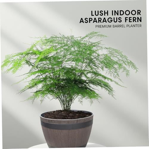 2PCS Barrel Planter 7.5 Inch Resin Large Pots for Plants with Drainage for Indoor Outdoor Garden Yard - Image 2